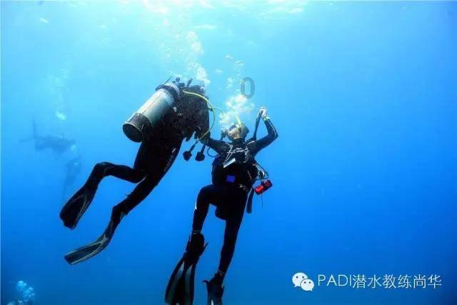 加勒比巡航